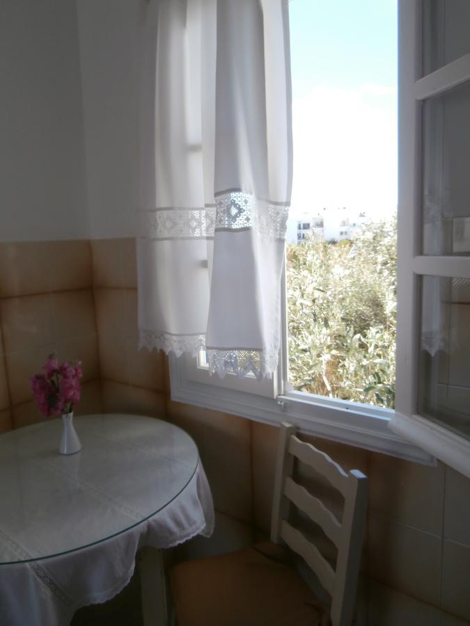 Agali Apartments Тинос Экстерьер фото